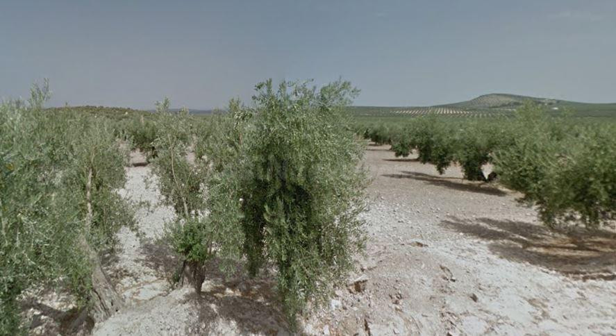 SE VENDE suelo urbano OKUPA en C Torredonjimeno  de Torredon