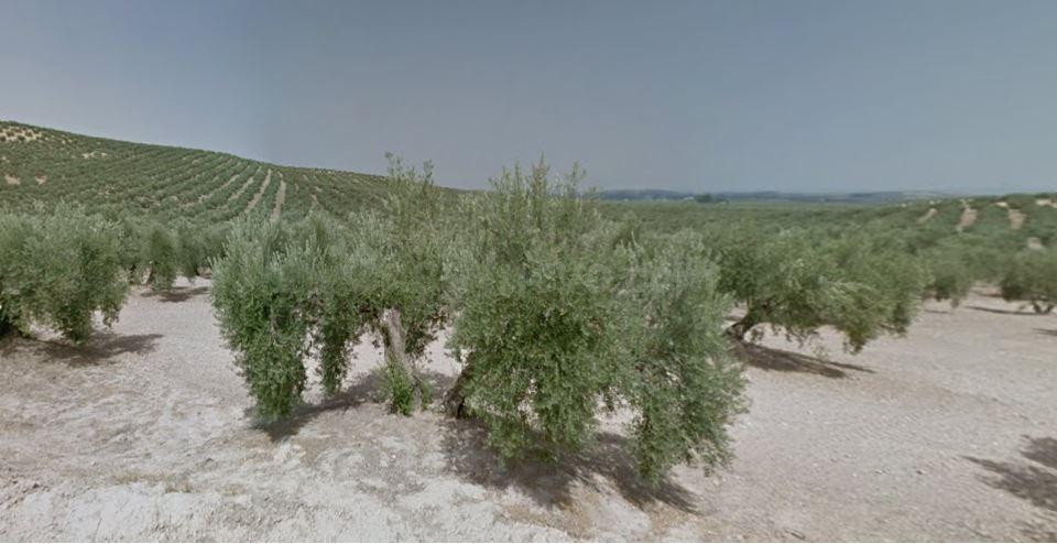 SE VENDE suelo urbano OKUPA en C Torredonjimeno  de Torredon