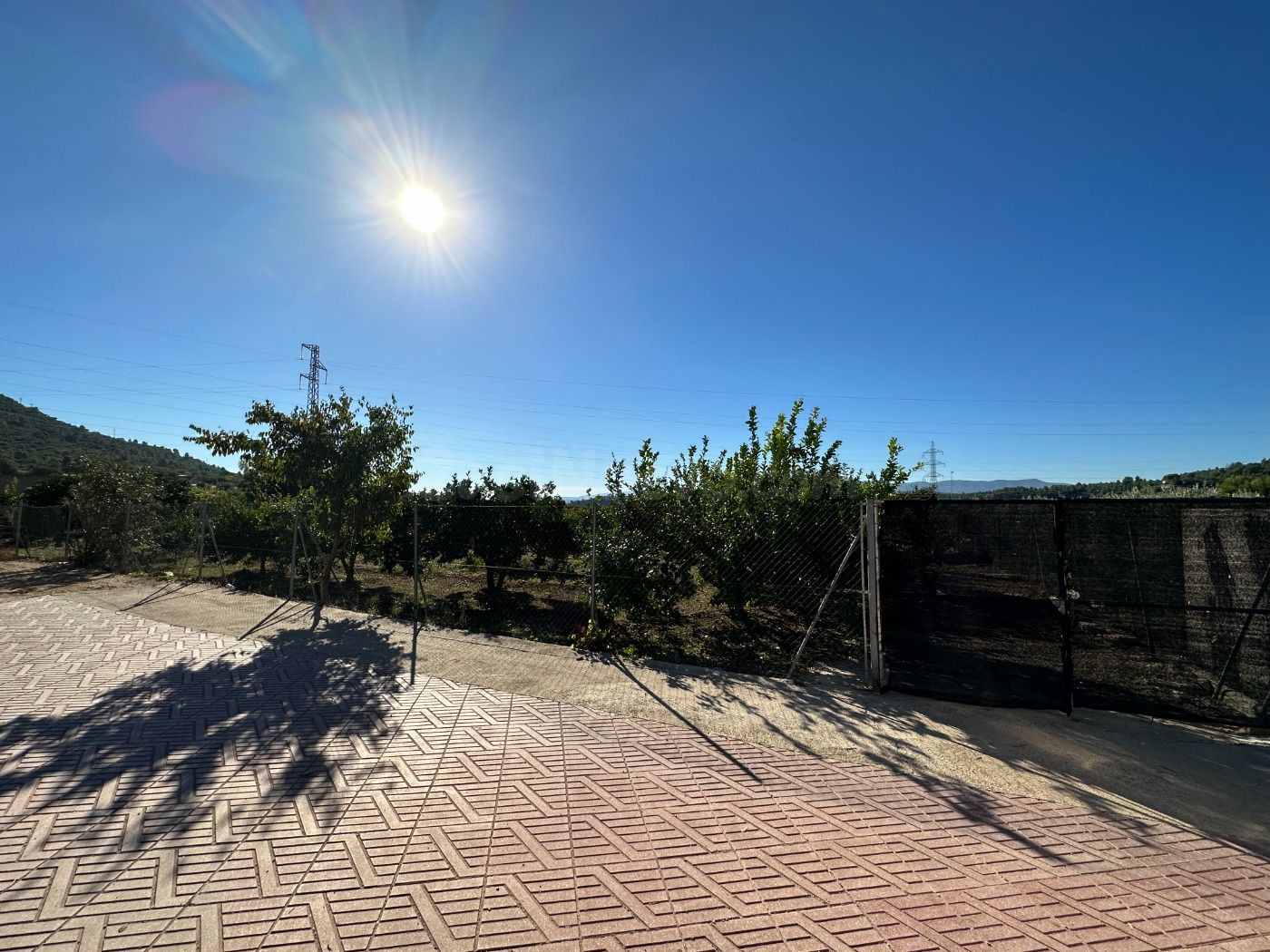 Parcela en la Huerta Abajo, el Planell, de 992 m2 hoy huerta, árboles frutales , excelente inversión
