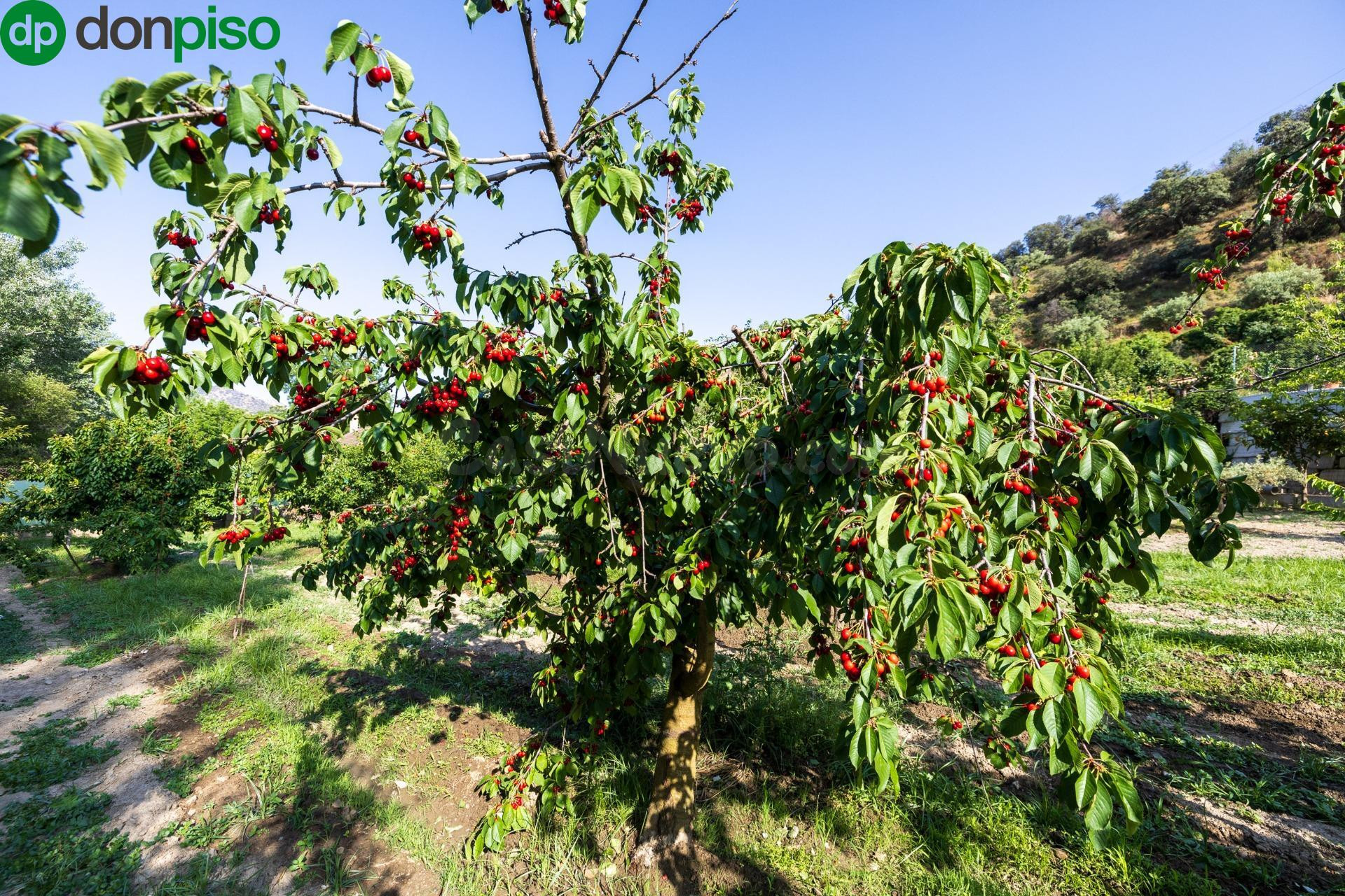 Terreno Rústico en venta - Andalucia