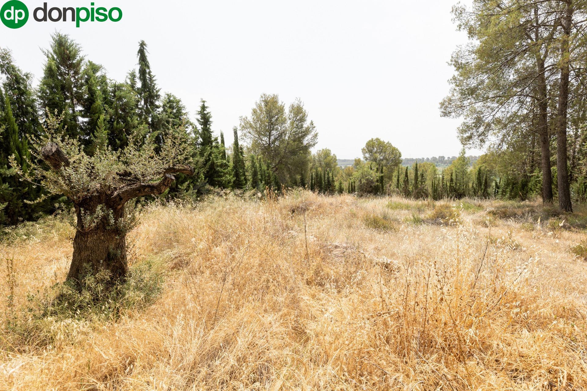 EXCLUSIVO TERRENO EN VENTA EN ALBOLOTE