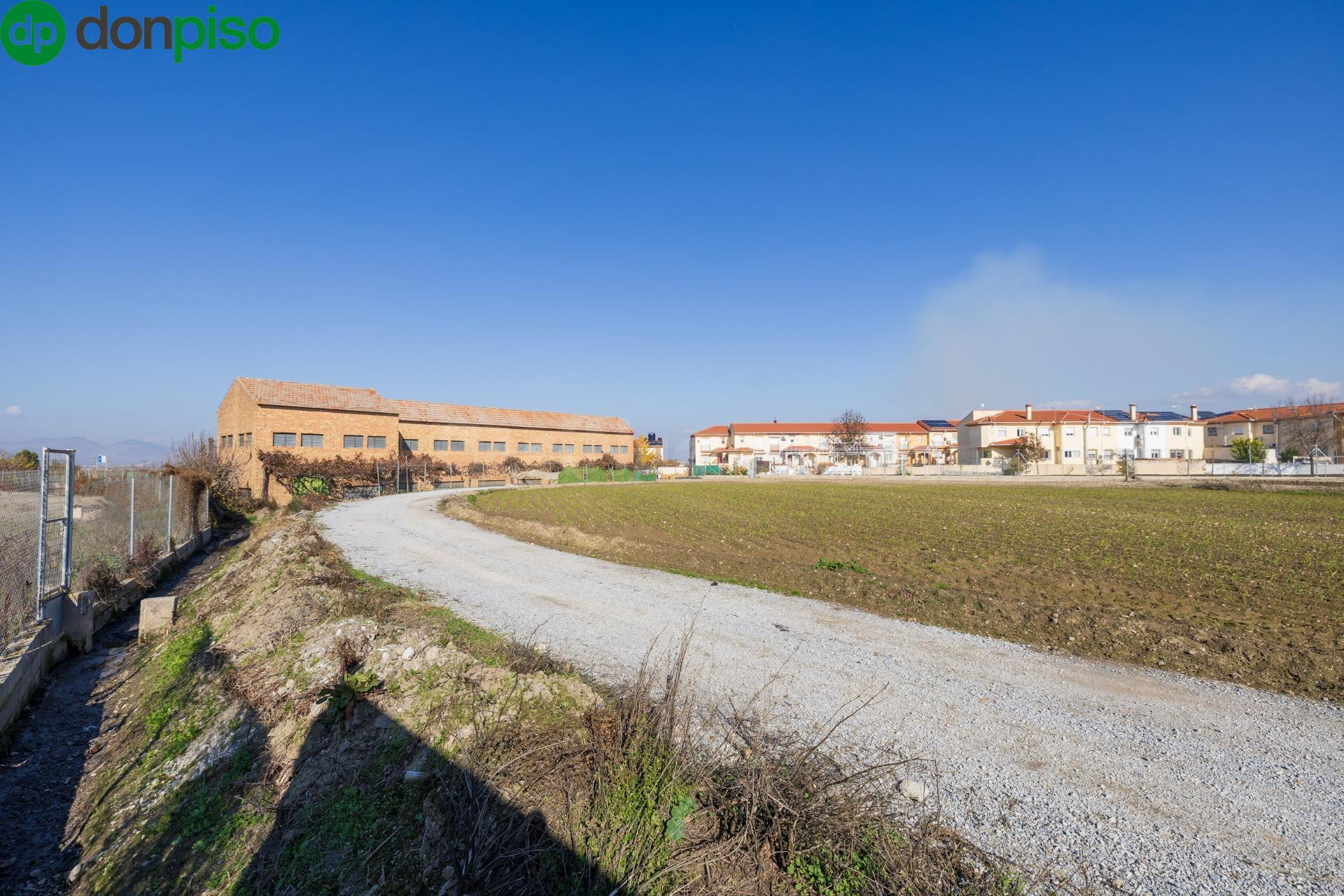Finca vallada y con pozo propio a escasos metros del entorno urbano de Belicena