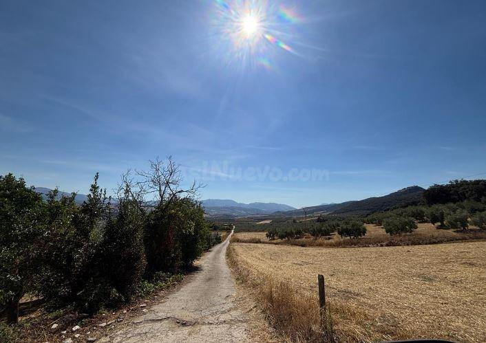 SE VENDE casa OKUPA en C PARTIDO RURAL LA CIMADA 69 de Ron - foto 2