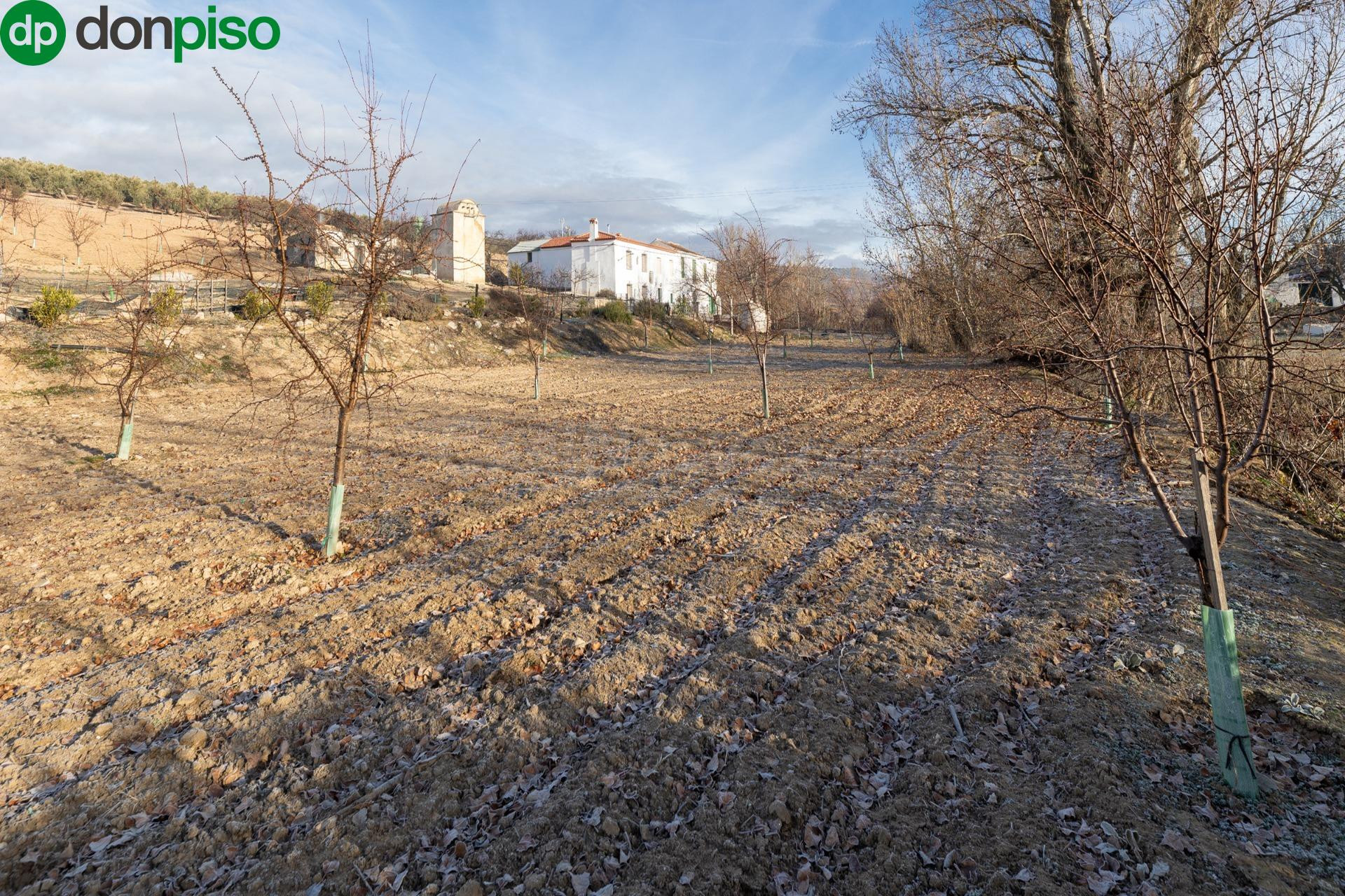 Venta de cortijo en Píñar (Granada)