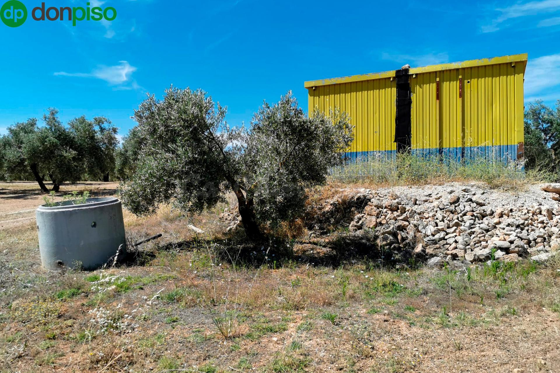 FINCA DE OLIVOS