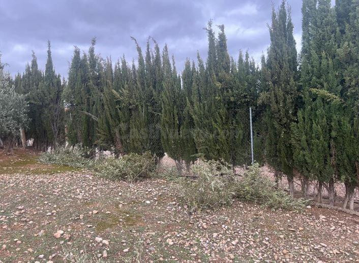 SE VENDE casa OKUPADA en Cerro Molina Jaén (Jaén) - foto 3