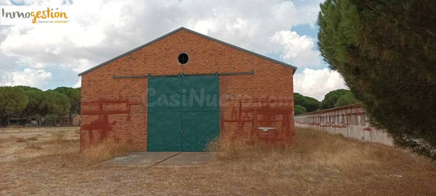 SE VENDE TERRENO CON NAVE EN SARDÓN DE DUERO (VALLADOLID)