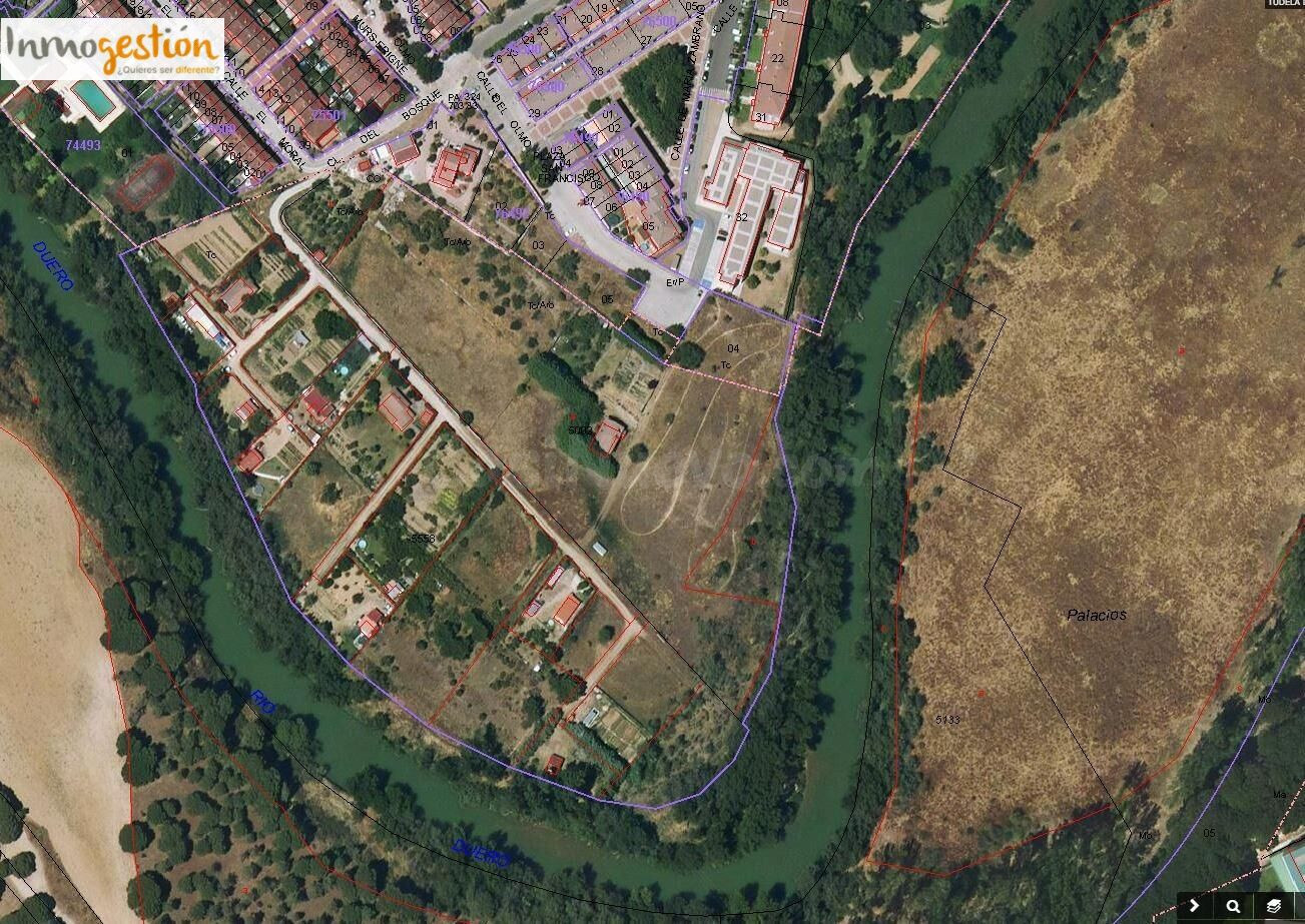 SE VENDE TERRENOS RUSTICOS EN TUDELA DE DUERO