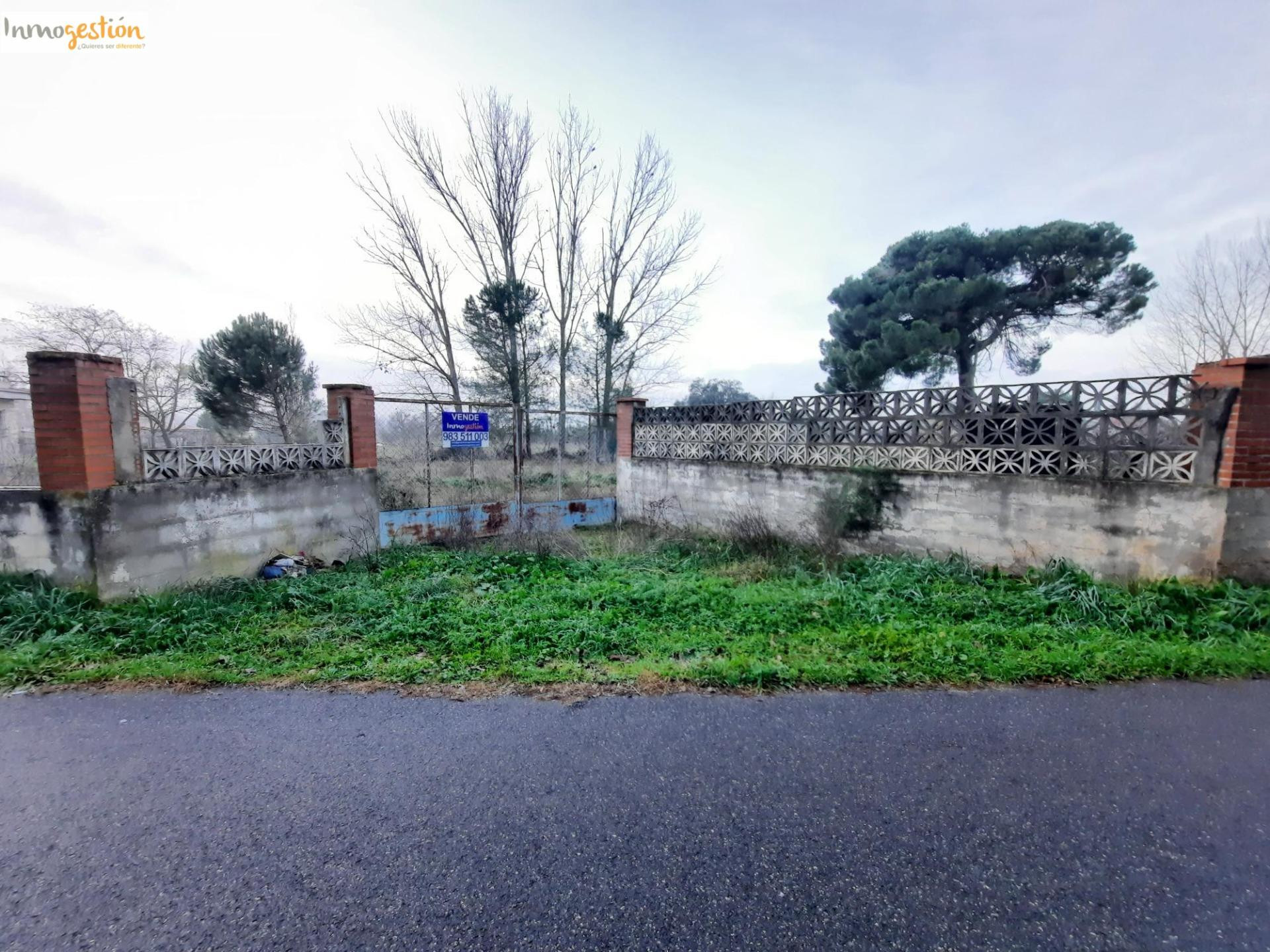 SE VENDE TERRENO RUSTICO EN TUDELA DE DUERO