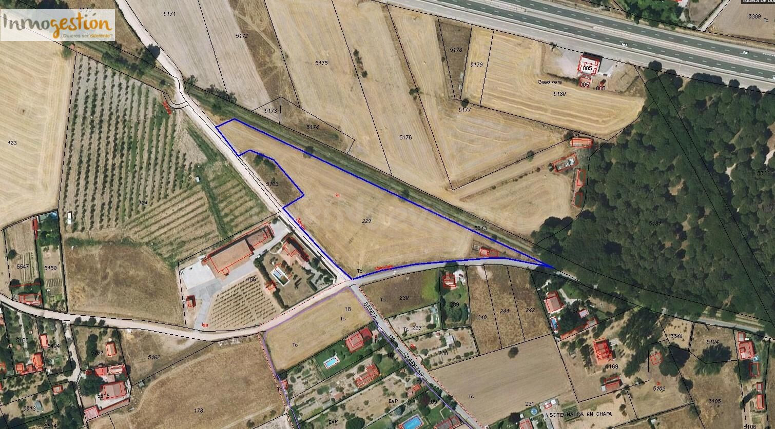 SE VENDE TERRENO RUSTICO EN TUDELA DE DUERO