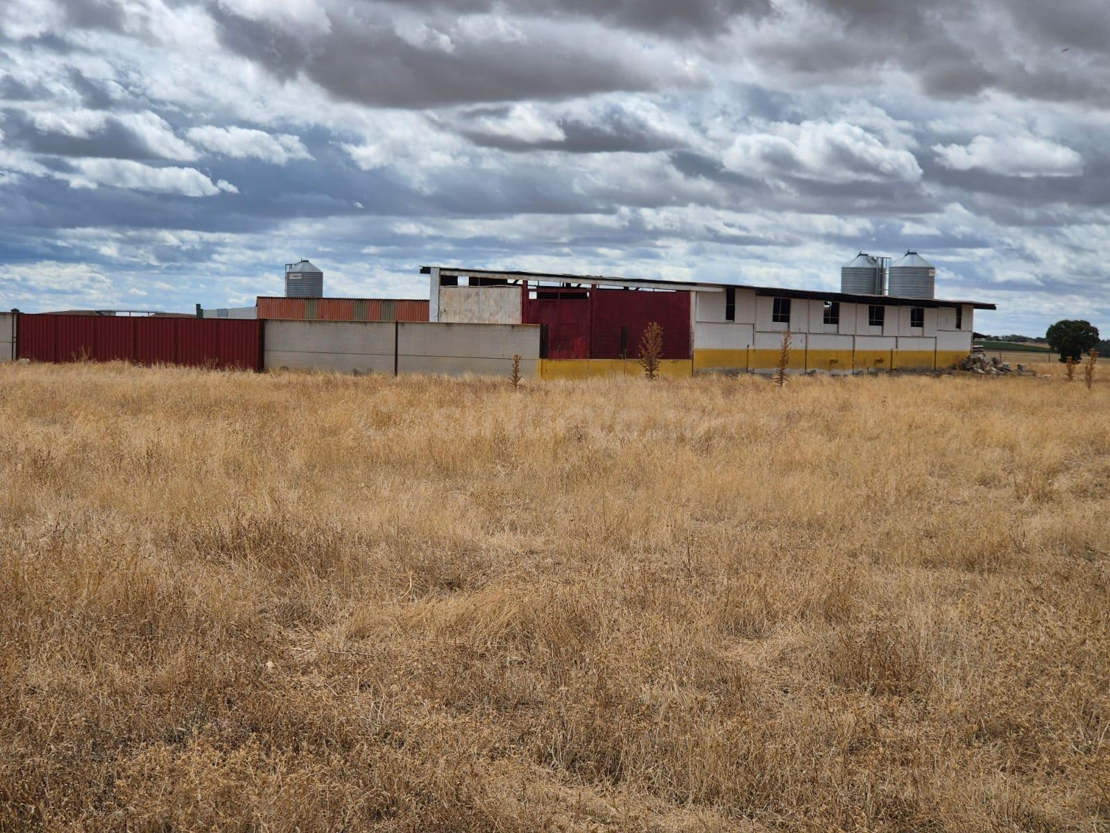 FINCA GANADERA EN VENTA. Zona Páramos del Esgueva, Valladolid.
