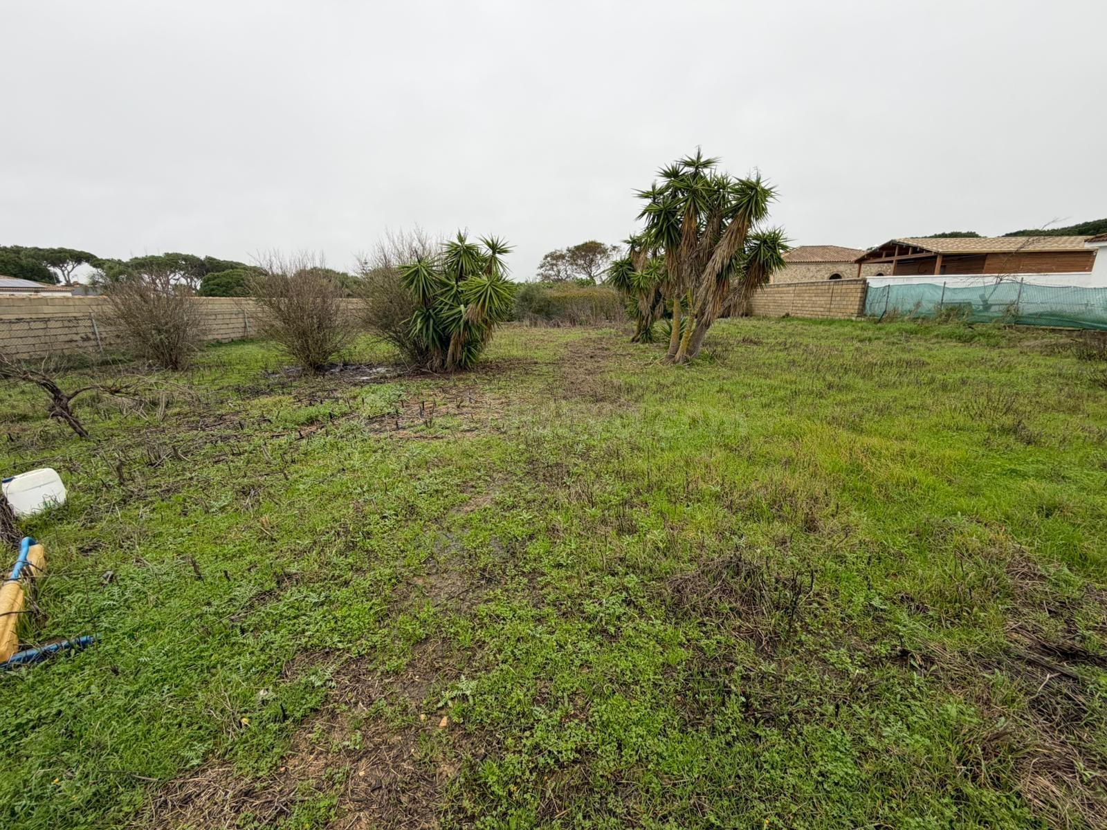 Parcela de 2.000 m2 en Las Quintas