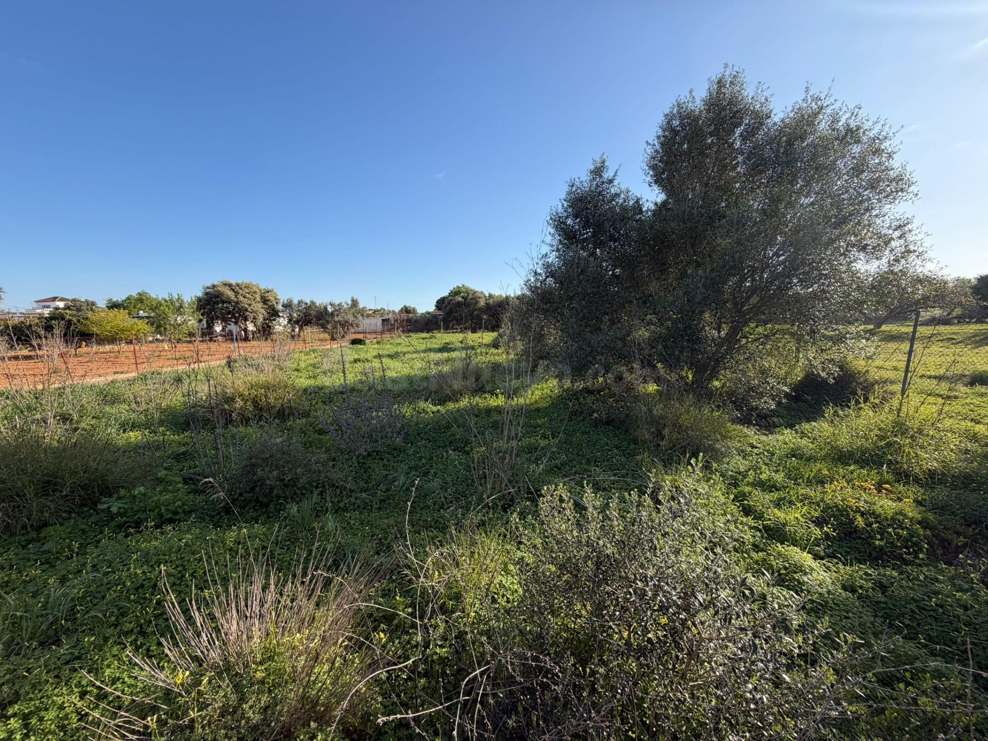 Parcela de 1.000 m2 en La Soledad