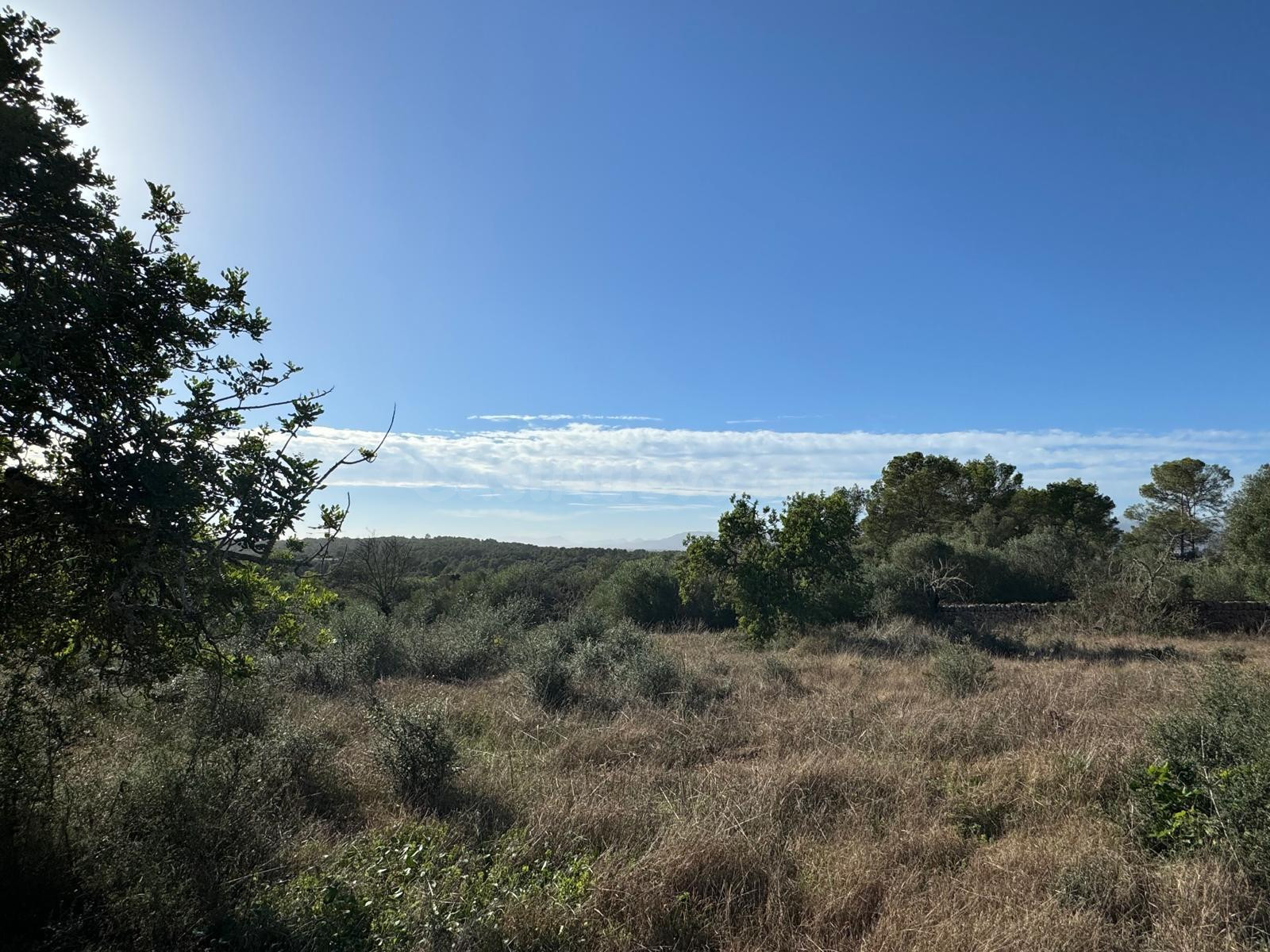 FINCA RUSTICA COSTITX