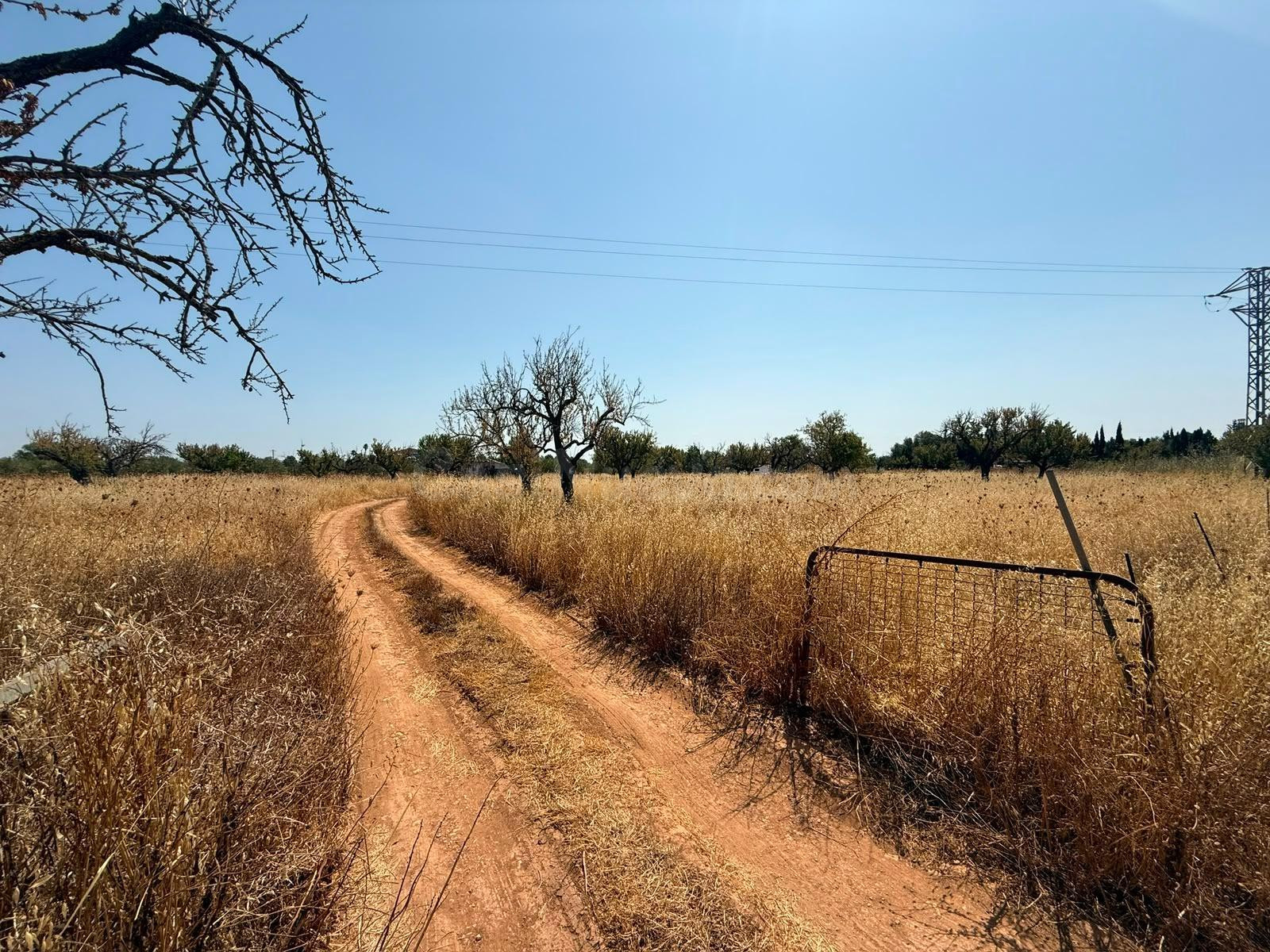 Terreno Rústico No Urbanizable Ideal para Uso Agrario o Caravana