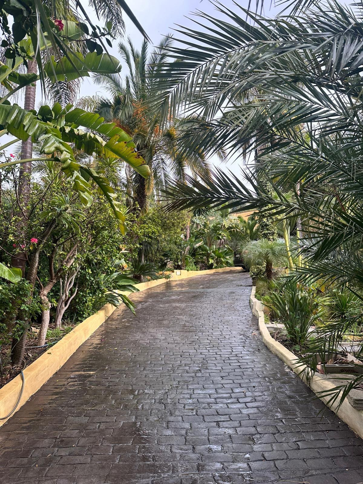 Villa con jardín tropical, piscina y casa de invitados a solo 10 minutos del aeropuerto de Málaga