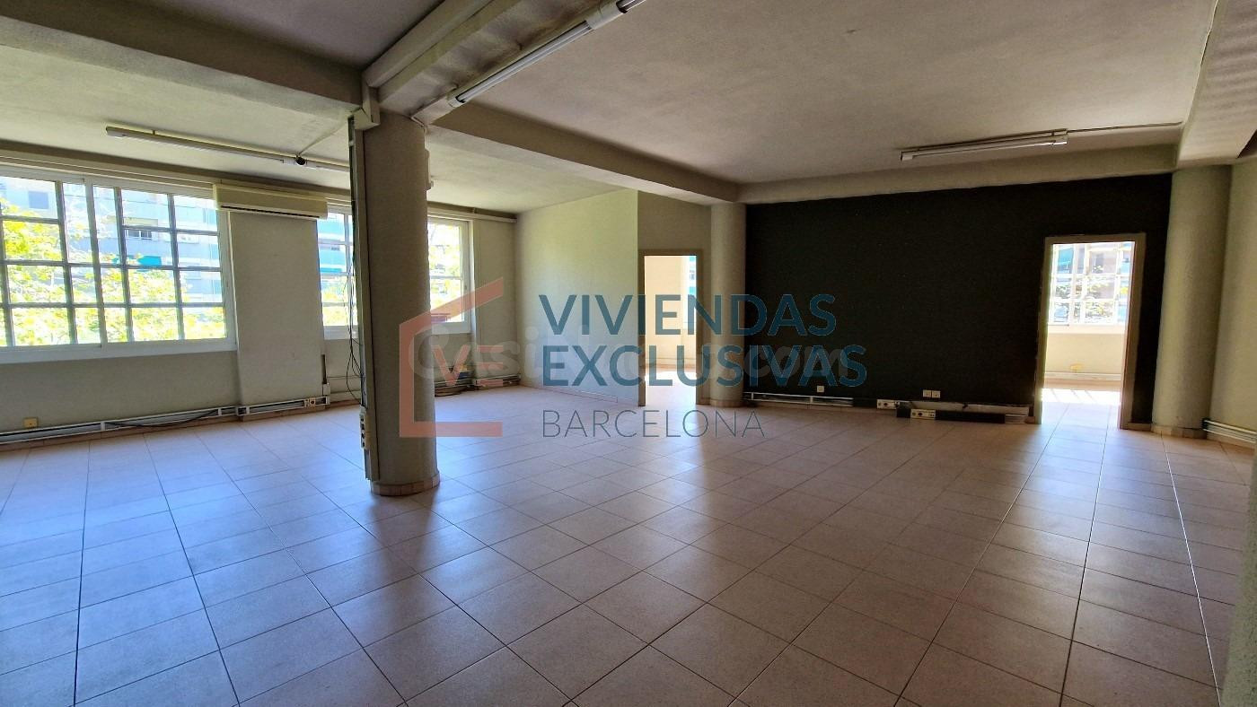 máxima luminosidad y amplitud en Finca Esquinera- Josep Tarradellas