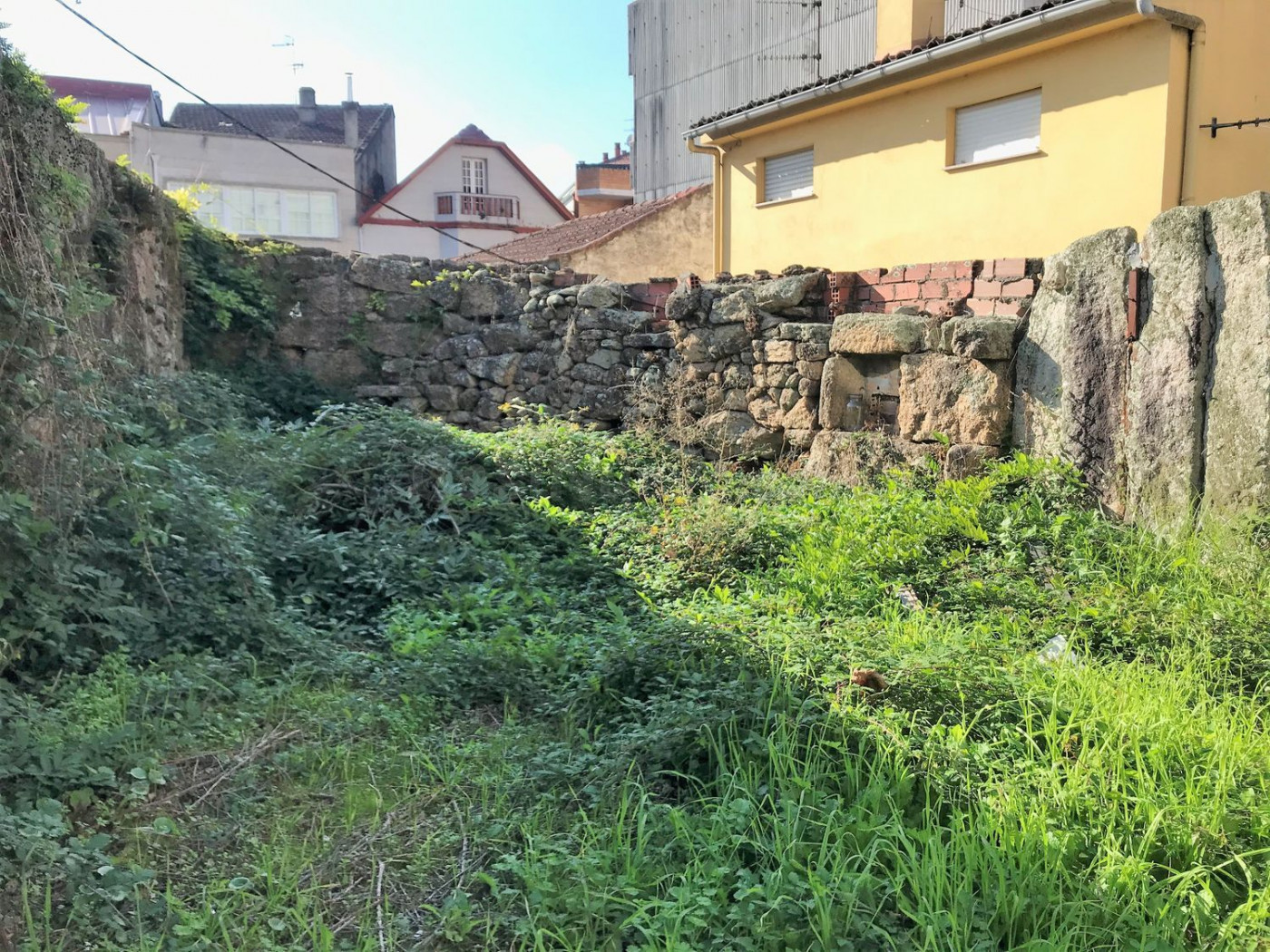 Terreno rural 229m² en venta - Manuel rodríguez - foto 3