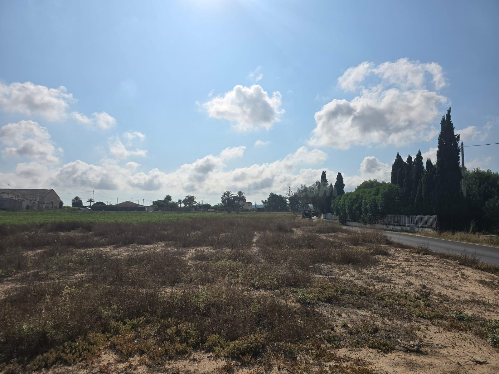 Terreno rural en venta - Valverde