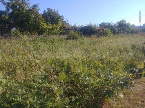 Terreno en venta en calle de Manuel Cominges, 132, Vigo