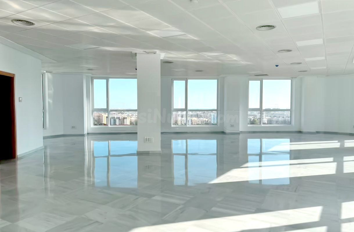 Oficina 218m² en alquiler - Beniferri - foto 4