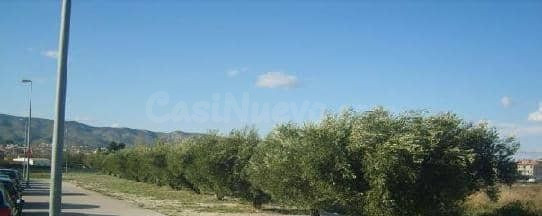 Terreno Rústico 2883m² en venta - El Llombo