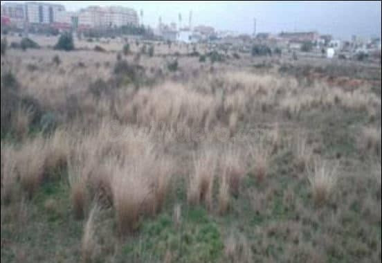 Terreno urbano 1092m² en venta - Zona Pau Lledó