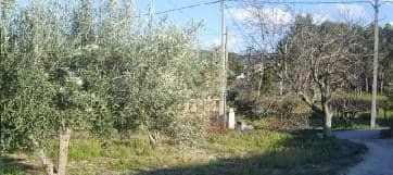 Terreno Rústico 2285m² en venta - El Llombo