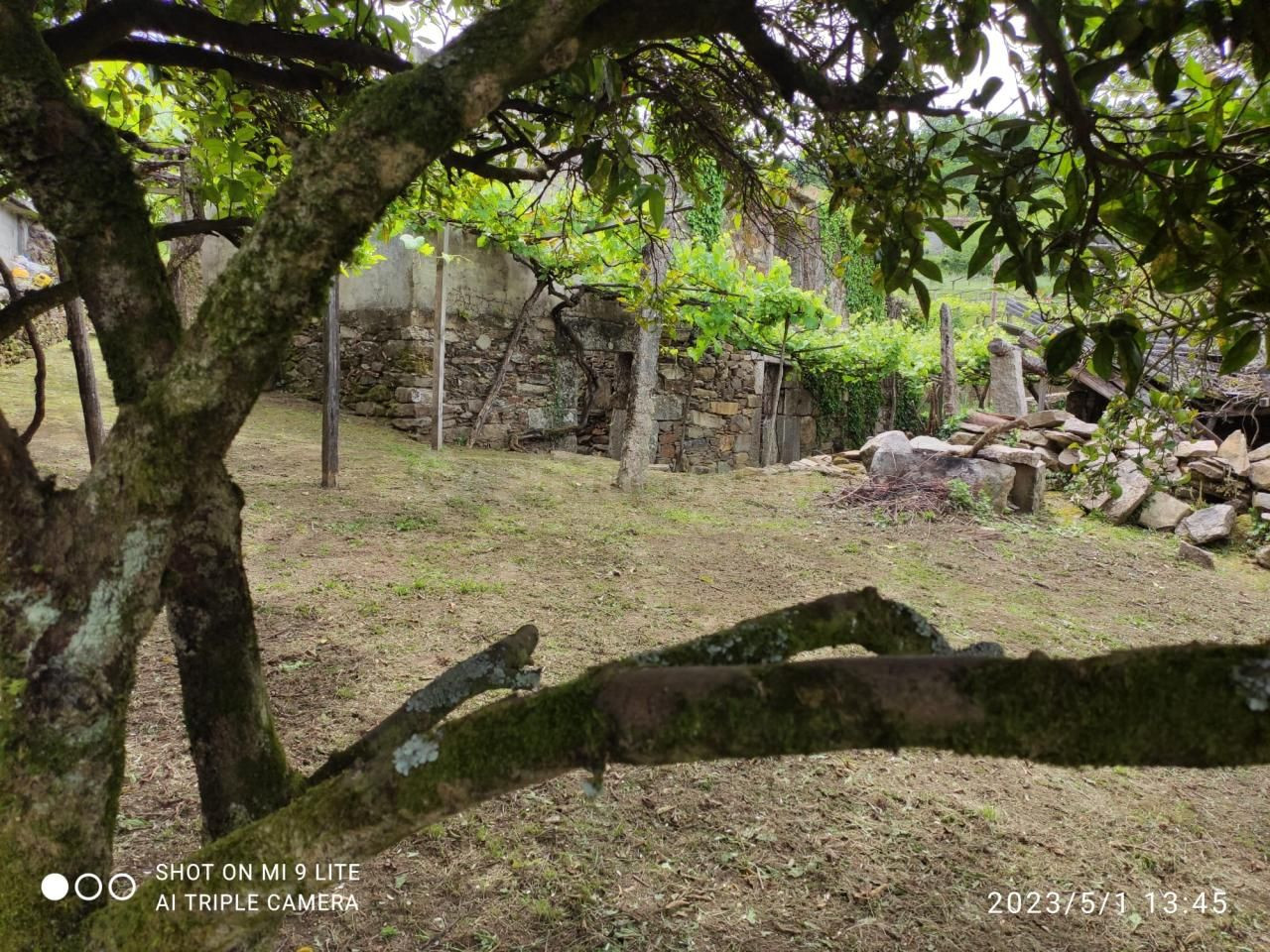 Finca rustica en venta en Redondela - foto 3