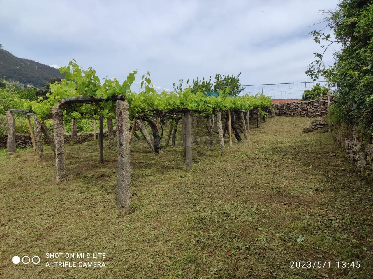 Finca rustica en venta en Redondela - foto 4