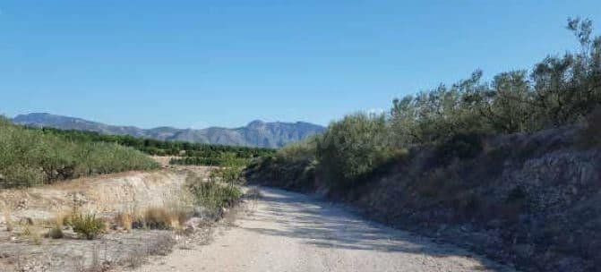 Terreno Rústico 77332m² en venta - El mollo - foto 2