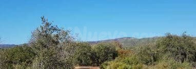 Terreno Rústico 77332m² en venta - El mollo - foto 3