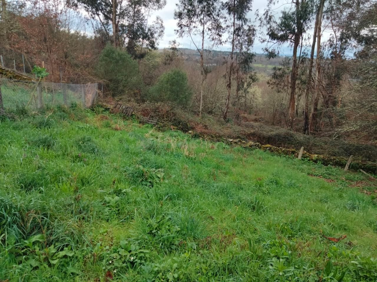 OPORTUNIDAD !!! SE VENDE CASA EN AMOEIRO - foto 2