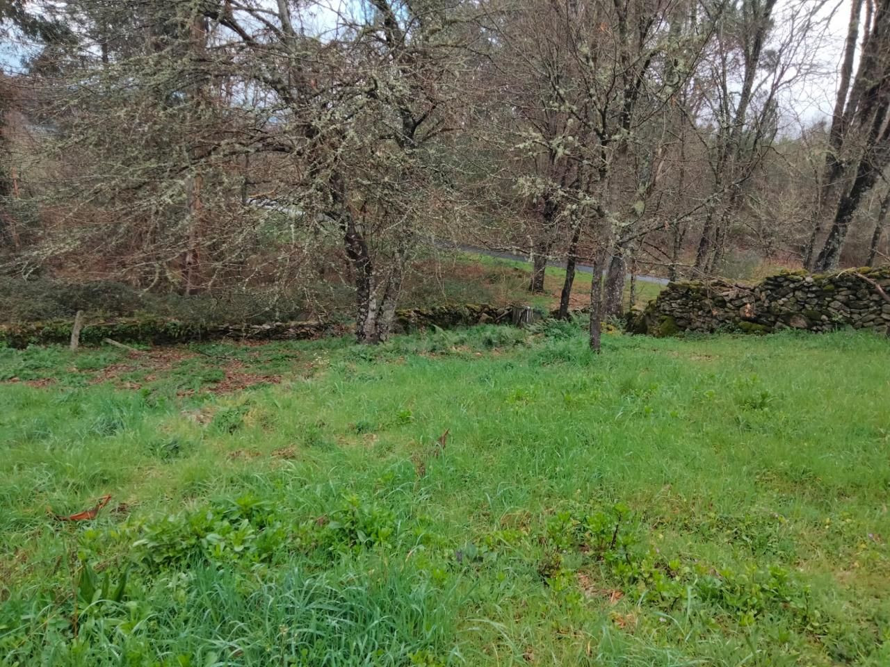 OPORTUNIDAD !!! SE VENDE CASA EN AMOEIRO - foto 4