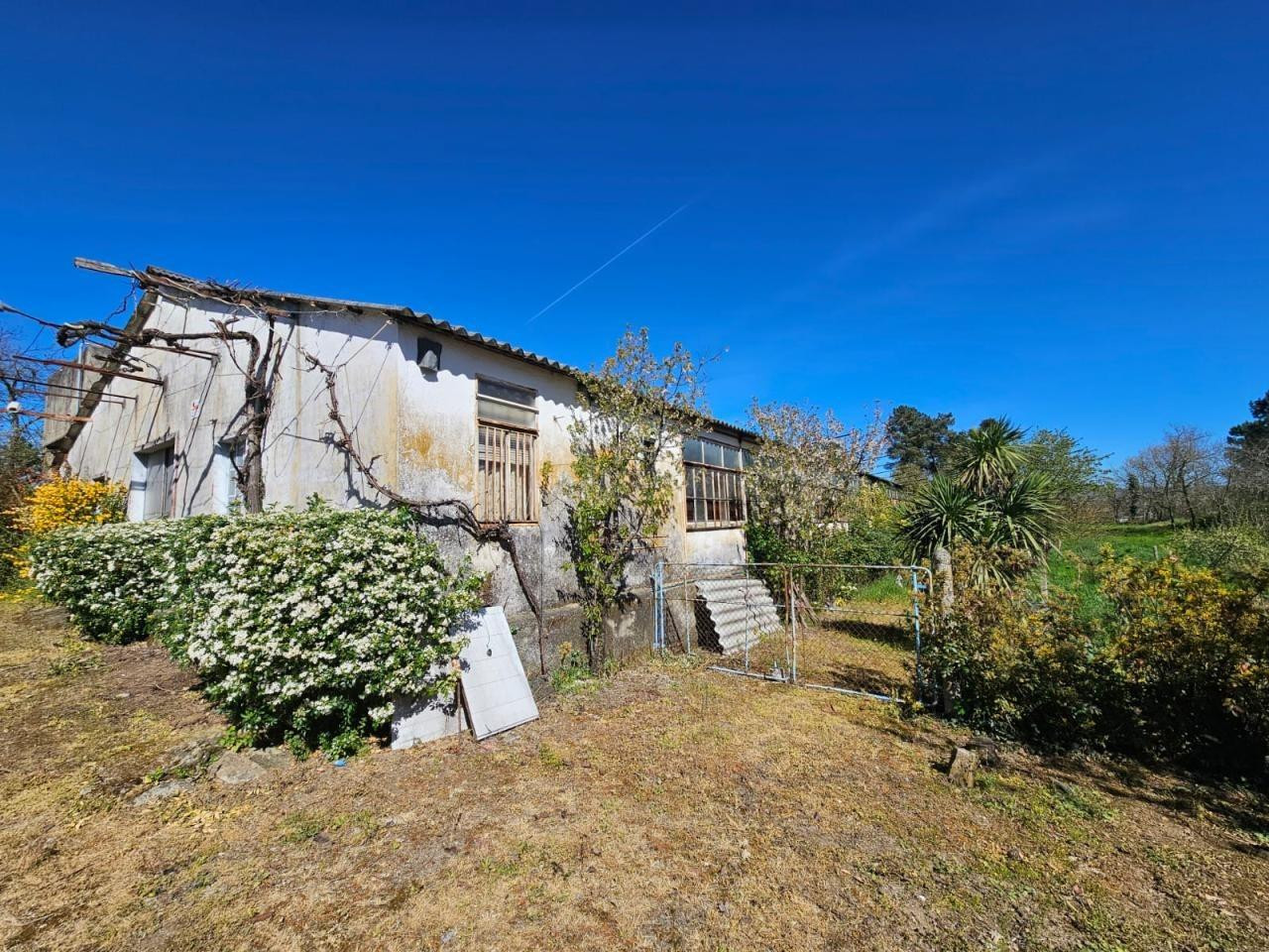 OPORTUNIDAD!! SE VENDE CASA CON 8000 M2 DE TERRENO EN CALVOS