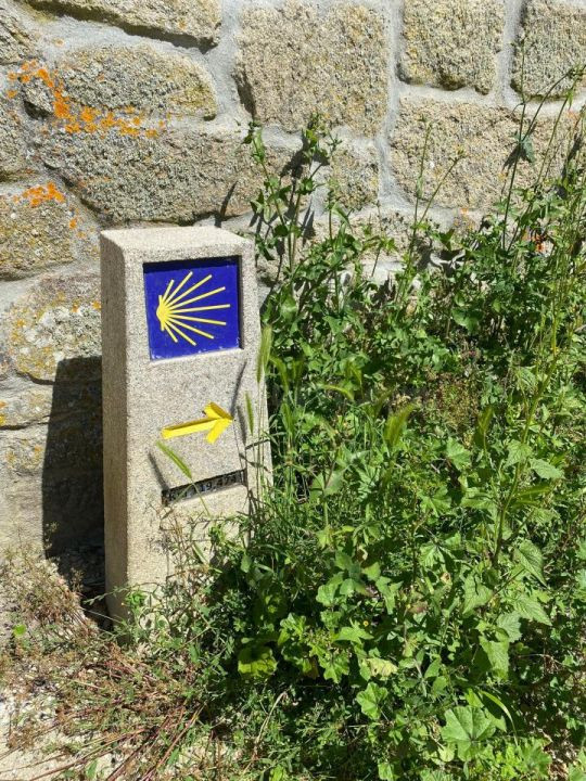 O REXURDIMENTO DE TABOADELA (CASA IDEAL INVERSORES) - foto 3