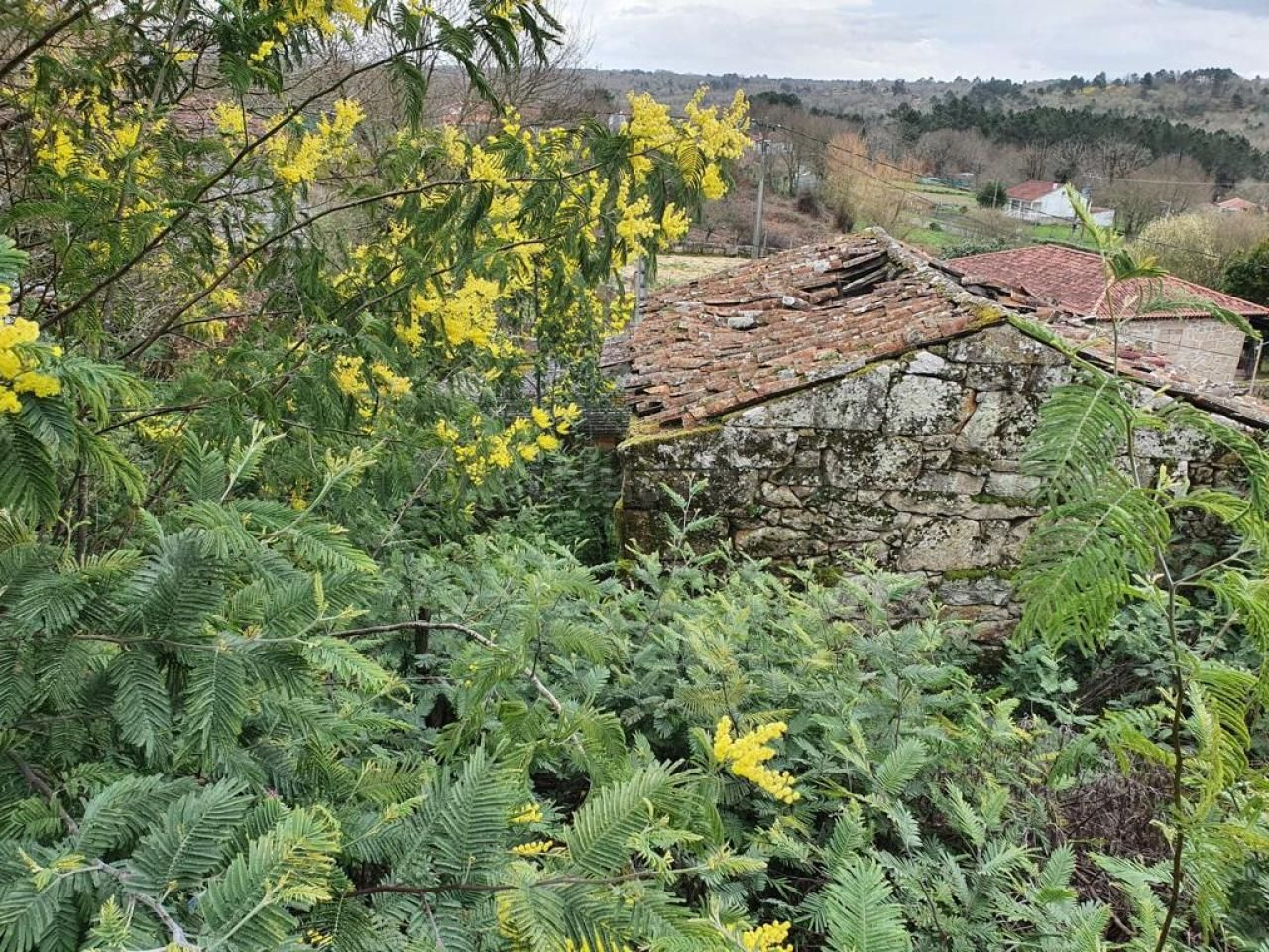 CASA A REFORMAR EN AMOEIRO
