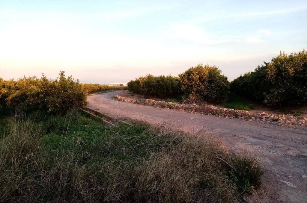 Terreno Rústico 2000m² en venta - Comunidad valenciana