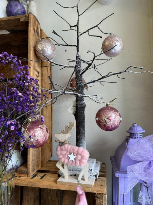OPORTUNIDAD FLORISTERIA DE RENOMBRE EN OURENSE