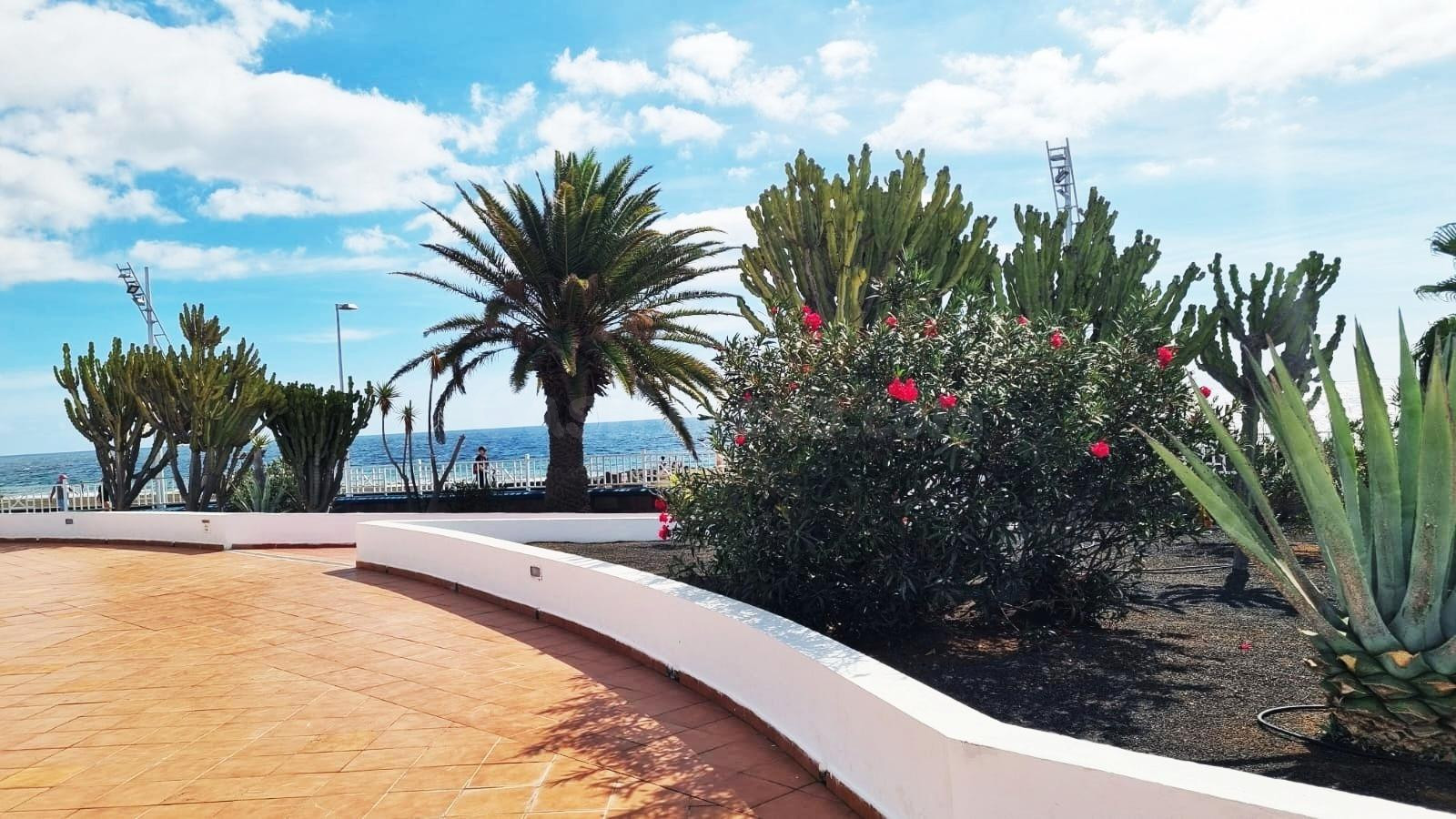 Exclusivo apartamento de standing primera línea del mar en P - foto 4