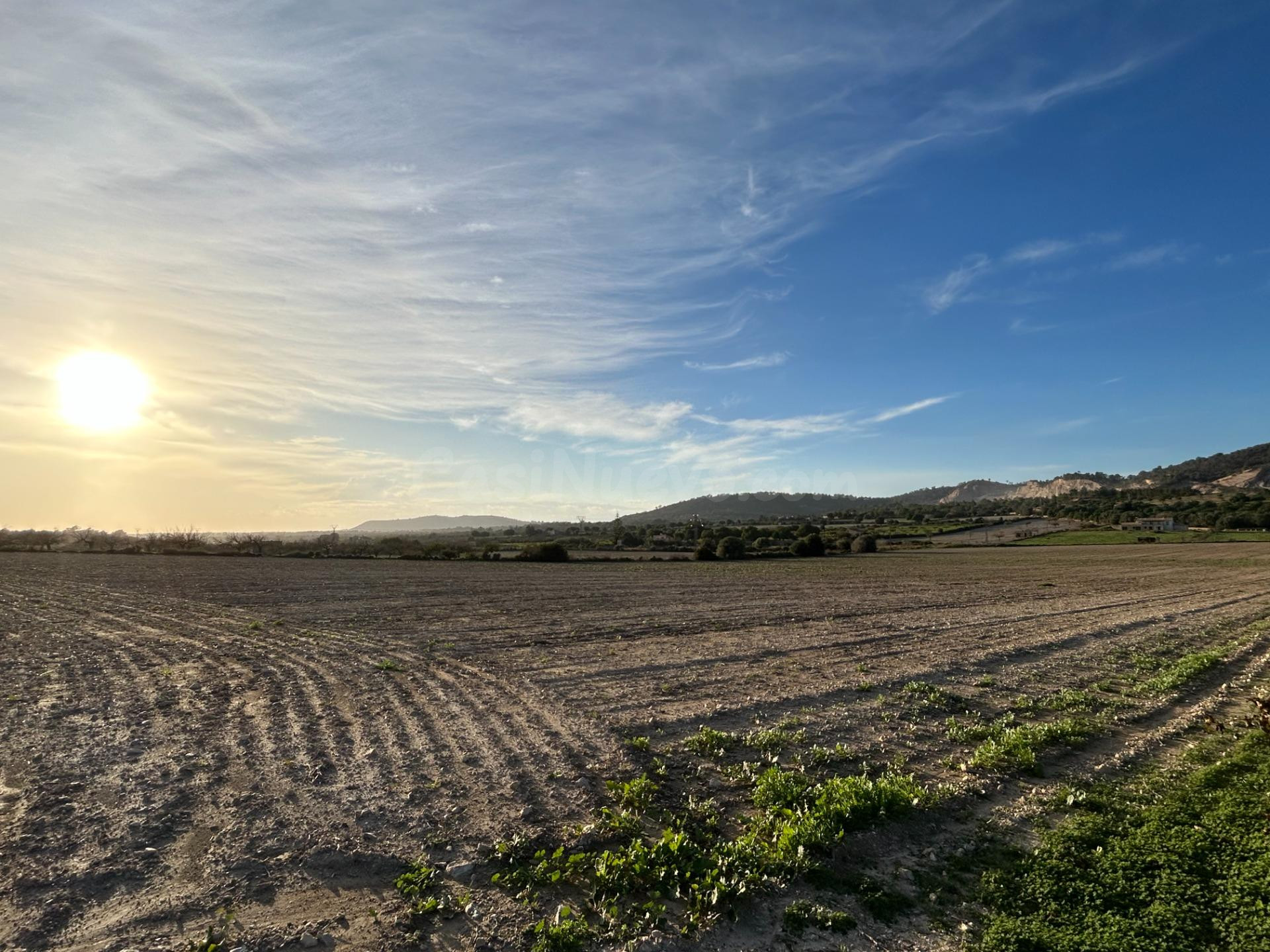 Finca rústica en Porreres en venta