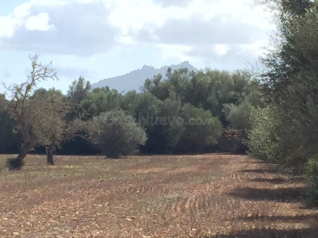 Finca rústica en Felantix.