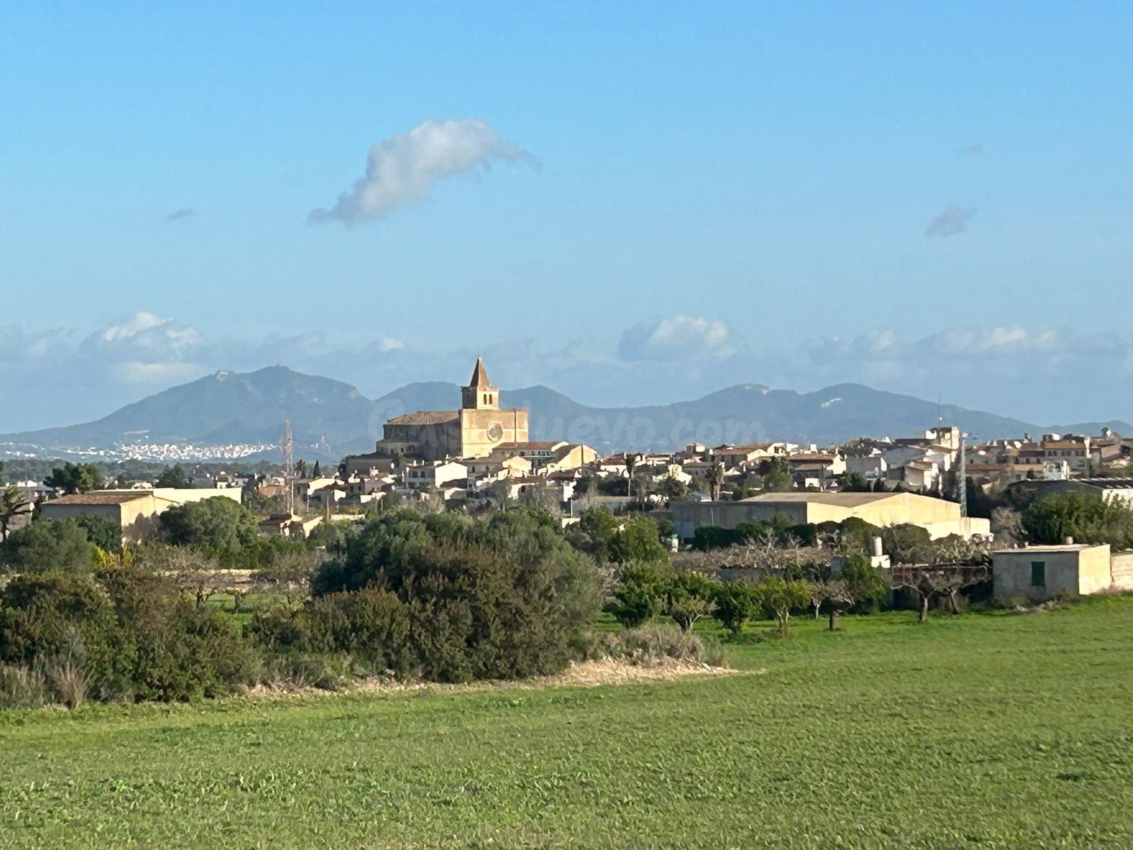 Finca con licencia y proyecto básico en Porreres