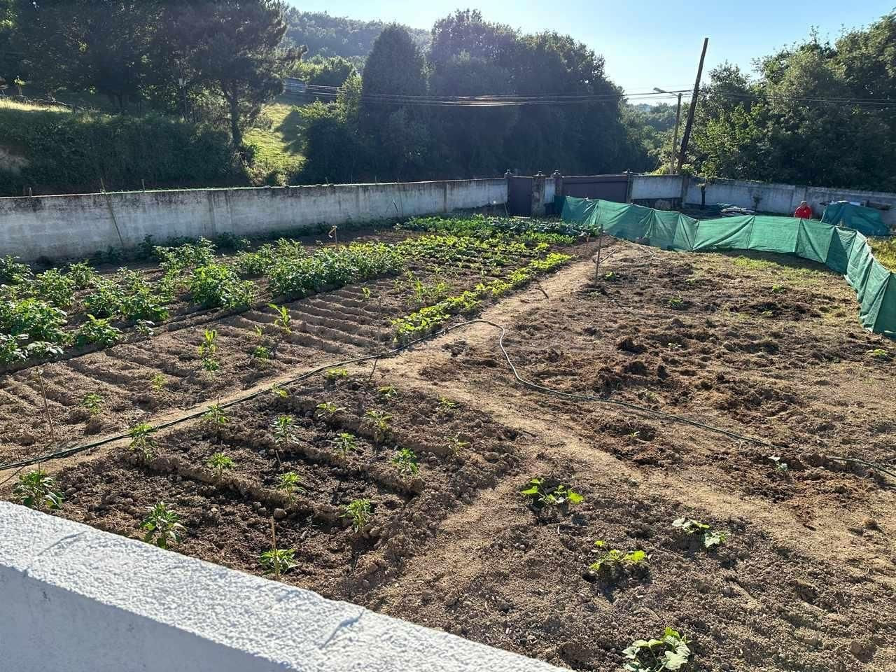 Oportunidad de Inversión en Taboadela: Solar en Soutomaior a - foto 5