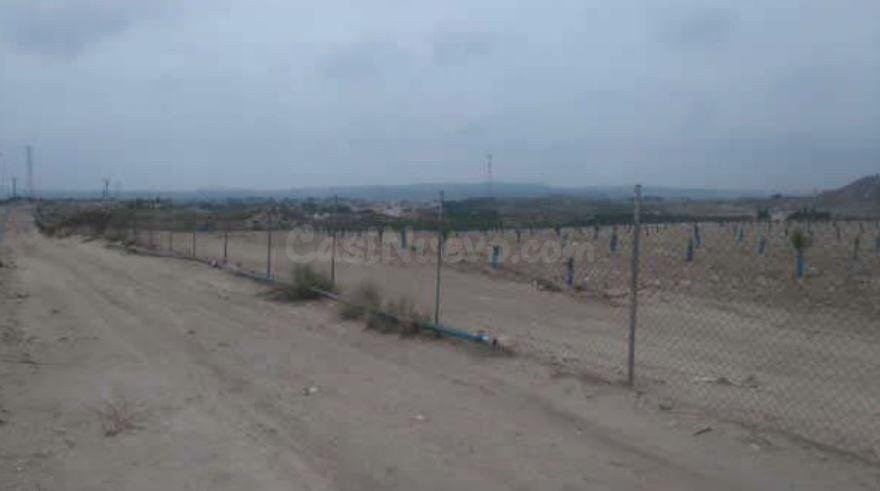 Terreno rústico en venta en Pre. de la Alabarda, Polígono 33, Molina De Segura, Murcia