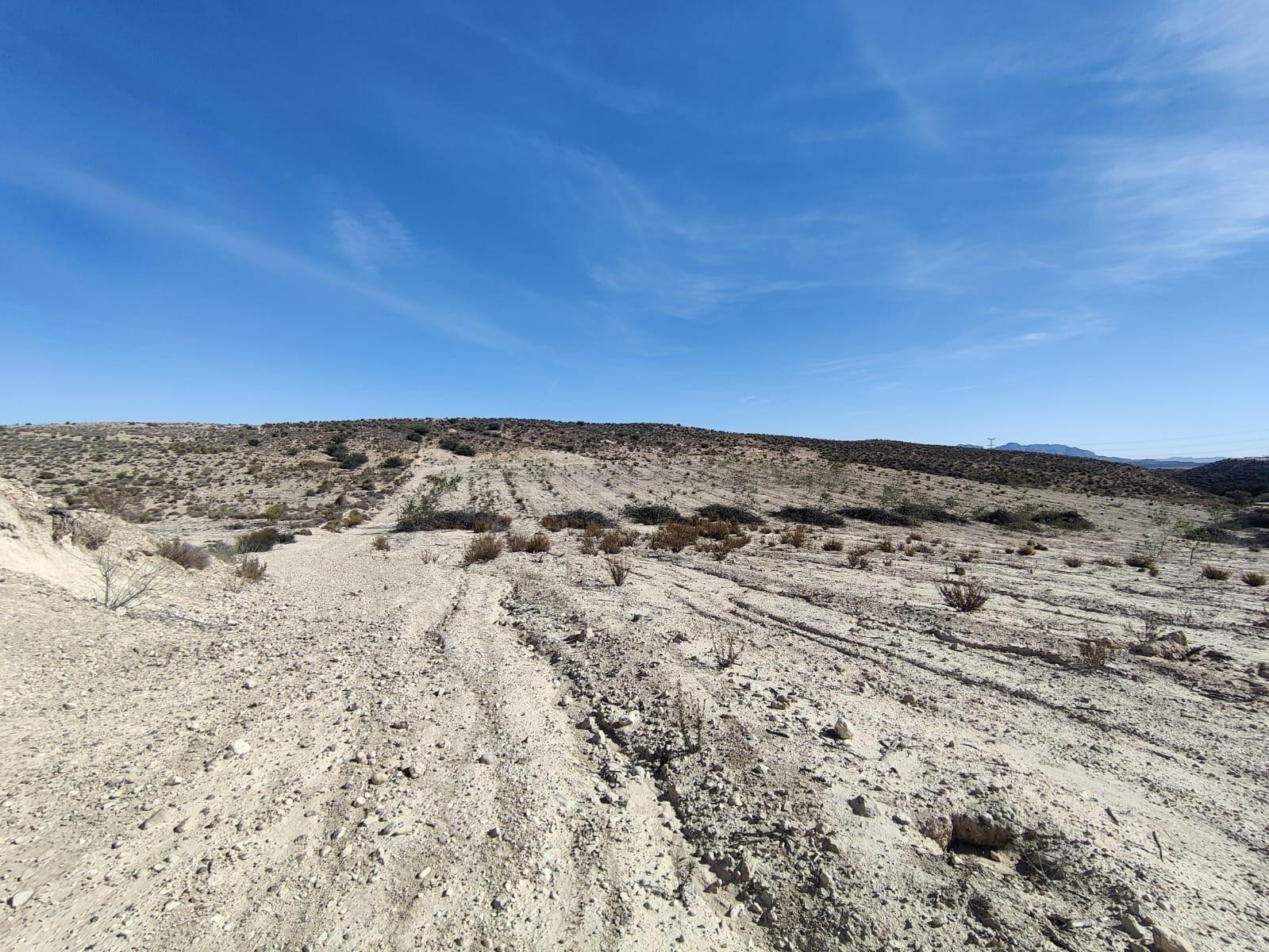 Finca en venta de 80.000 M2 en Molina de Segura