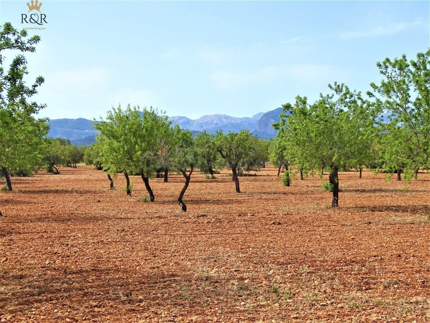 FINCA RÚSTICA BINISSALEM  EDIFICABLE 40.000 M2