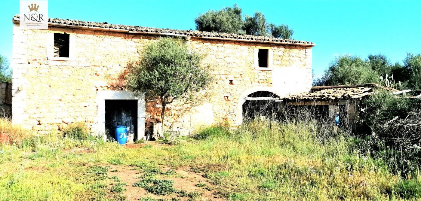 FINCA RÚSTICA BINISSALEM. 44.000 M2 PARC. CASA 130 M2 A REFORMAR.