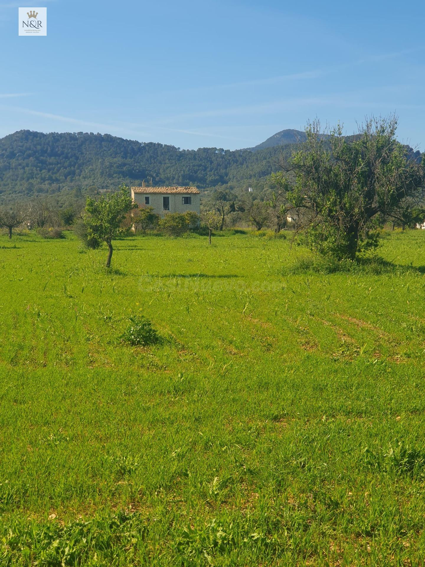 FINCA RÚSTICA EDIFICABLE EN BINISSALEM DE 27.490M2 CON EDIFICACIÓN DE 150M2