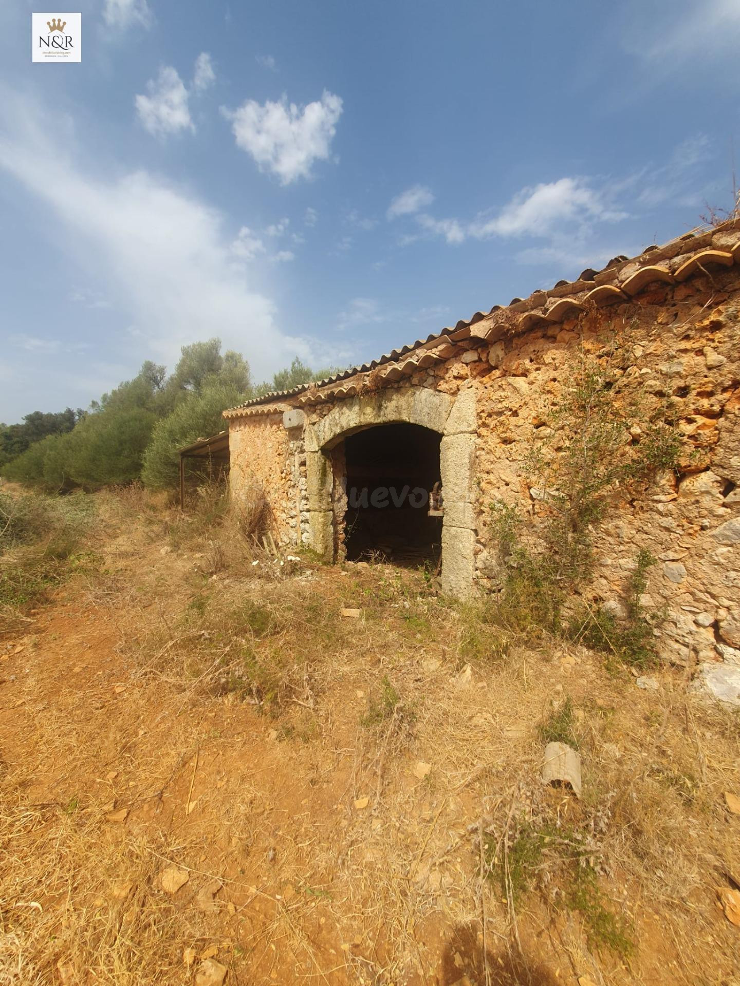 FINCA SENCELLES EDIFICABLE CAS CANAR